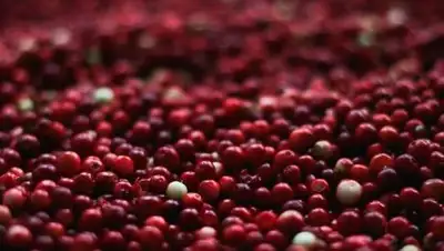 pixabay, фото - Новости Zakon.kz от 31.08.2021 07:26