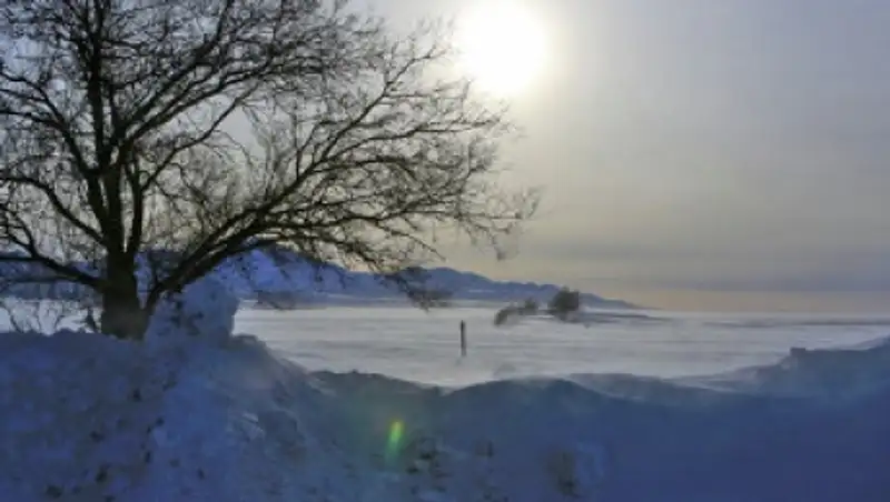 Бездомная женщина насмерть замерзла в Акмолинской области