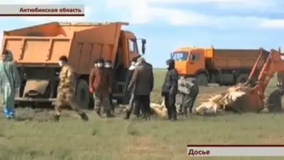 Zakon.kz, фото - Новости Zakon.kz от 24.02.2016 06:01