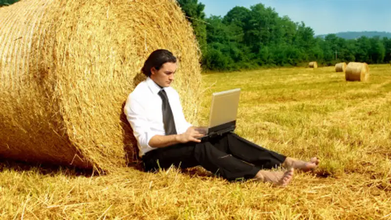 В проект "С дипломом в село" включат госслужащих