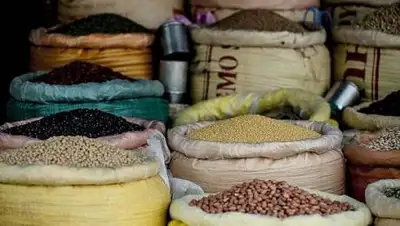 pixabay, фото - Новости Zakon.kz от 07.02.2021 12:22