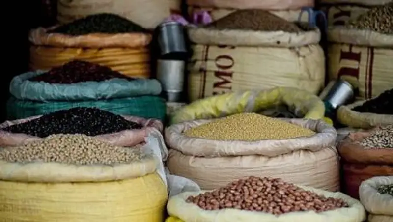 Врач назвал идеальный продукт питания