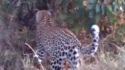 Zakon.kz, фото - Новости Zakon.kz от 07.03.2017 13:47