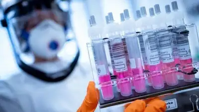 DPA, фото - Новости Zakon.kz от 23.07.2020 02:05