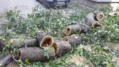 Zakon.kz, фото - Новости Zakon.kz от 27.09.2016 16:03