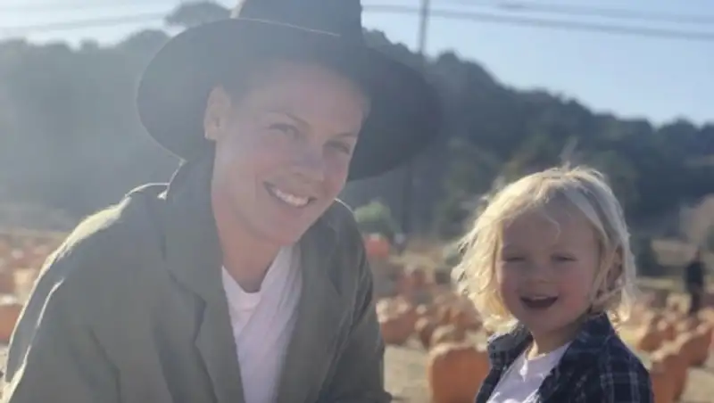 Певица Pink заразилась и уже вылечилась от коронавируса