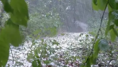 pixabay.com, фото - Новости Zakon.kz от 12.04.2021 00:41