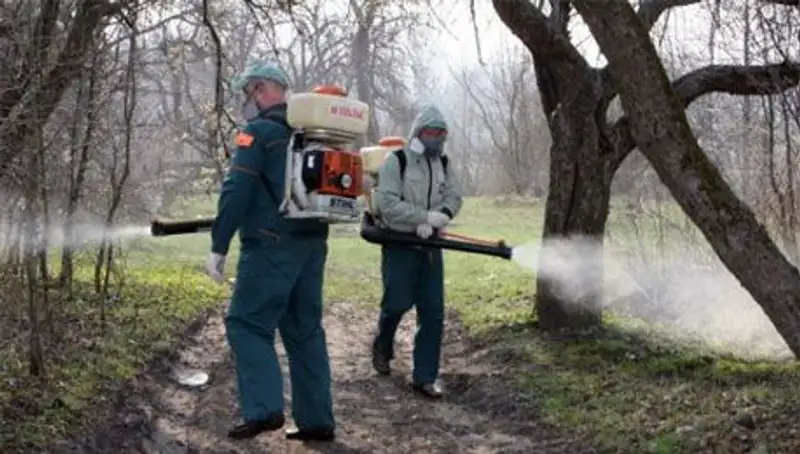 В Кызылординской области борются с клещами