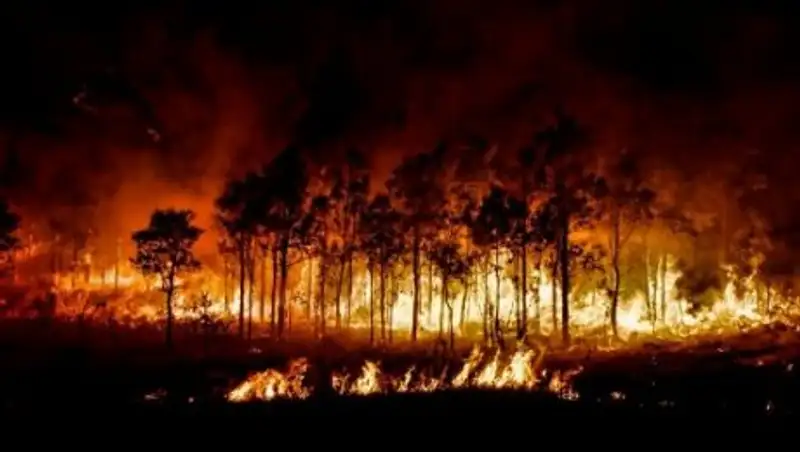Лесные пожары в Калифорнии привели к эвакуации почти восьми тысяч человек