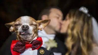 Life.ru, фото - Новости Zakon.kz от 22.12.2018 20:58