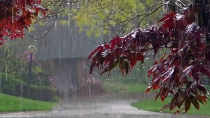 26 октября на большей части Казахстана пройдут осадки в виде дождя и снега