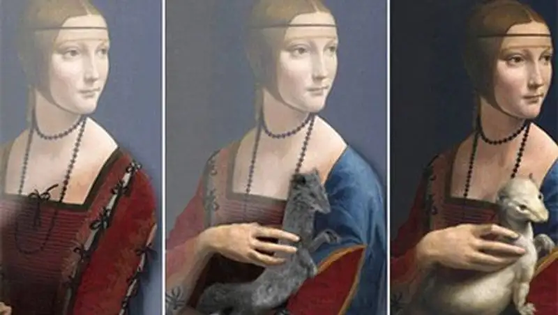 На картине Леонардо да Винчи Дама с горностаем обнаружили три варианта  полотна ᐈ новость от 22:35, 30 сентября 2014 на zakon.kz