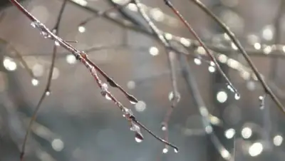 cdnmyslo, фото - Новости Zakon.kz от 21.03.2020 06:08