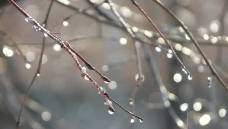 21 марта на большей части Казахстана ожидаются дожди