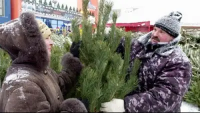 Zakon.kz, фото - Новости Zakon.kz от 12.12.2014 15:27