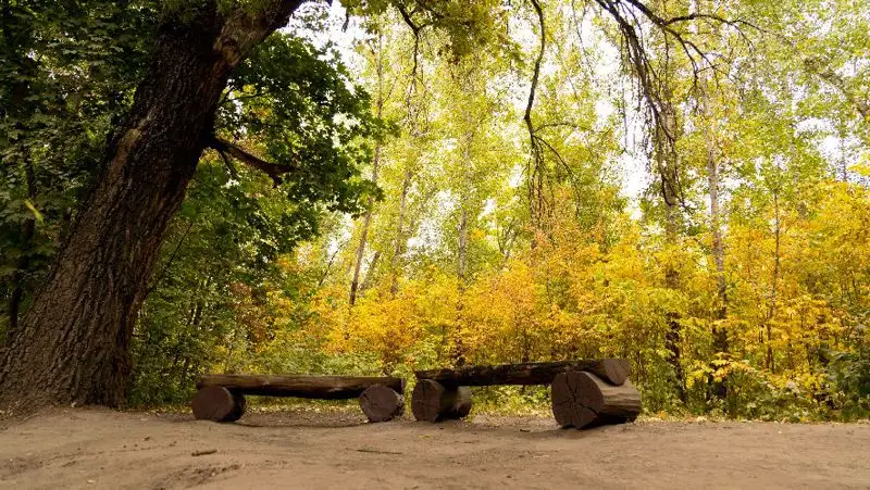 Синоптики рассказали, какой будет погода в Казахстане 19 октября