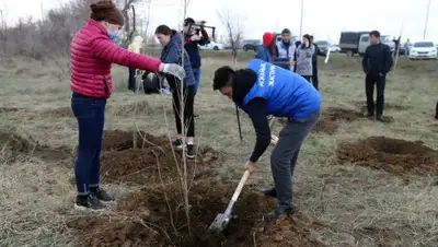 -, фото - Новости Zakon.kz от 13.04.2019 18:09