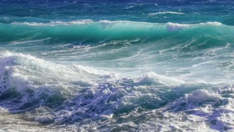 Неуловим и особо опасен: неизвестный науке вирус найден в океане