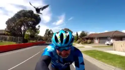 Zakon.kz, фото - Новости Zakon.kz от 02.09.2017 13:27