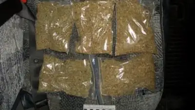 Zakon.kz, фото - Новости Zakon.kz от 12.12.2014 23:26