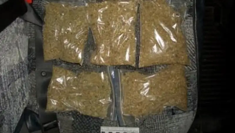 В Кокшетау наркосбытчик при покупке 4 пакетов "анаши" пятый дарил в качестве бонуса