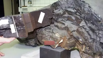 Zakon.kz, фото - Новости Zakon.kz от 24.01.2015 21:32