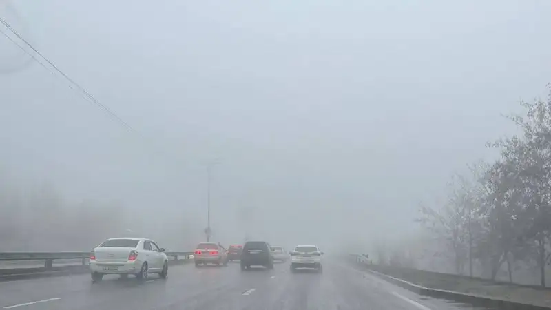 , фото - Новости Zakon.kz от 16.03.2023 09:47