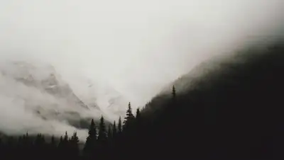 wall.alphacoders.com, фото - Новости Zakon.kz от 23.04.2019 09:06