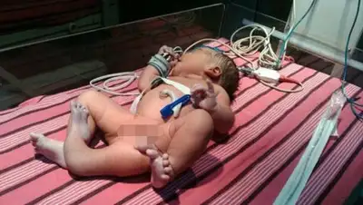 Zakon.kz, фото - Новости Zakon.kz от 28.03.2017 11:59