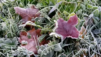 Zakon.kz, фото - Новости Zakon.kz от 03.10.2015 12:28