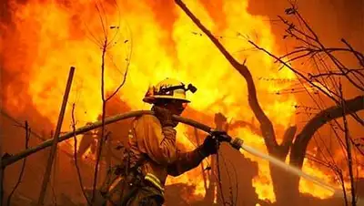 Zakon.kz, фото - Новости Zakon.kz от 19.05.2014 17:59