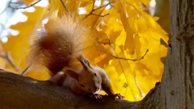 Zakon.kz, фото - Новости Zakon.kz от 13.10.2014 23:28