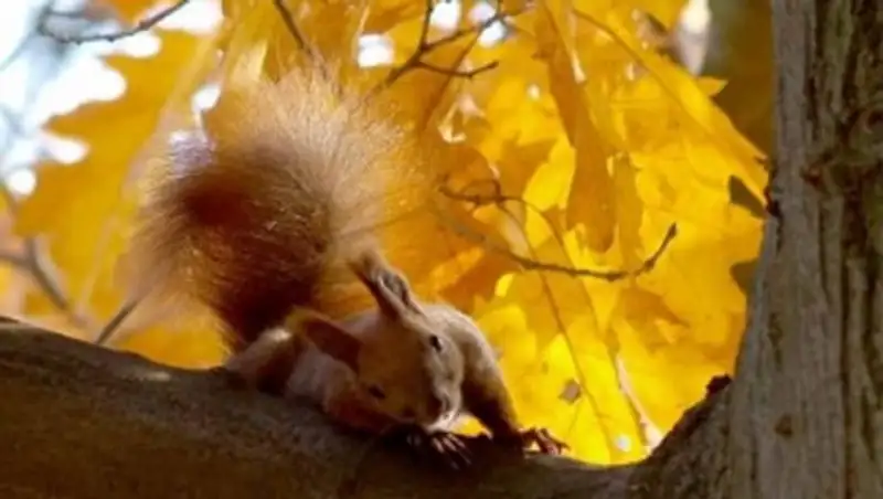 В ближайшие три дня на большей части РК синоптики прогнозируют тёплую солнечную погоду