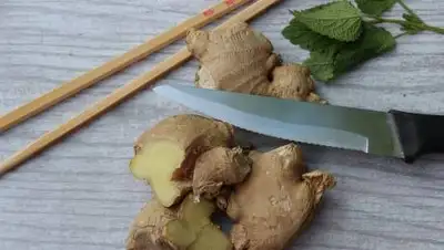 pixabay.com, фото - Новости Zakon.kz от 17.05.2021 12:10