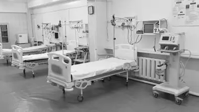 zakon.kz, фото - Новости Zakon.kz от 04.08.2021 09:11