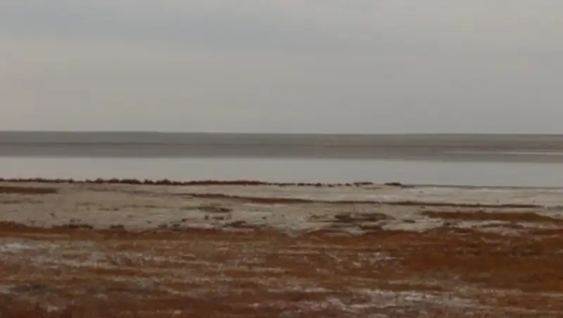 В Павлодарской области в будущем году будет произведена паспортизация 12 соленых озер