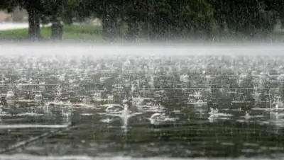 pixabay.com, фото - Новости Zakon.kz от 24.06.2021 18:10