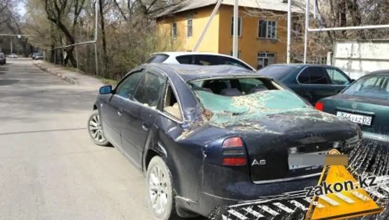 В Алматы старое дерево упало на машину