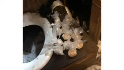 inform.kz, фото - Новости Zakon.kz от 22.01.2019 18:06