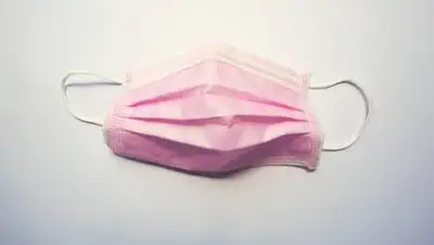 Pixabay, фото - Новости Zakon.kz от 26.12.2020 20:20