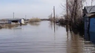 Zakon.kz, фото - Новости Zakon.kz от 28.05.2015 21:22