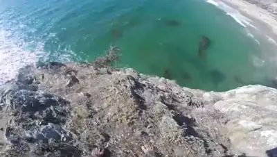 Zakon.kz, фото - Новости Zakon.kz от 08.09.2016 02:31