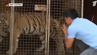 Кадр из видео, фото - Новости Zakon.kz от 02.09.2020 00:41