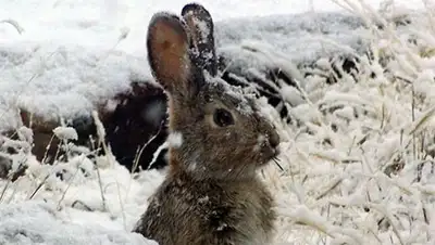Zakon.kz, фото - Новости Zakon.kz от 17.10.2014 22:56