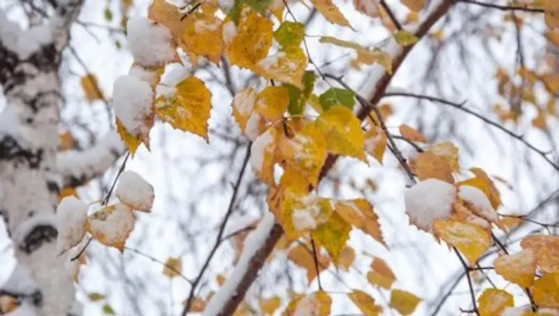 Неустойчивая погода сохраняется на территории Казахстана 8 ноября