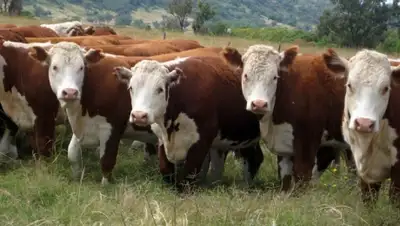 Zakon.kz, фото - Новости Zakon.kz от 22.12.2014 21:41