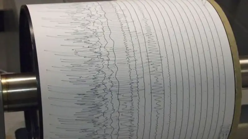 Землетрясение зафиксировали сейсмологи Казахстана