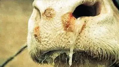 Zakon.kz, фото - Новости Zakon.kz от 20.08.2016 06:05