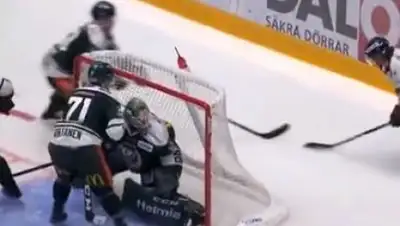 Zakon.kz, фото - Новости Zakon.kz от 25.10.2017 15:45