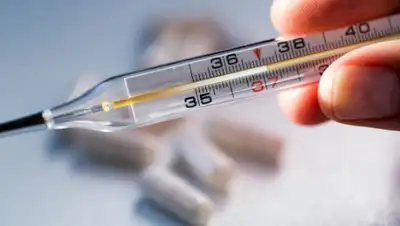 vistiternivki.com.ua, фото - Новости Zakon.kz от 06.04.2020 22:41